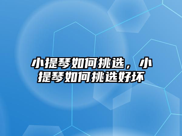 小提琴如何挑選，小提琴如何挑選好壞