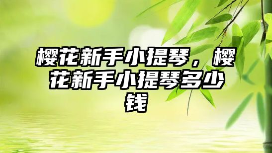 櫻花新手小提琴，櫻花新手小提琴多少錢