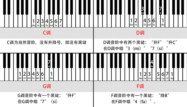 「鋼琴知識(shí)」左手應(yīng)該怎么伴奏？