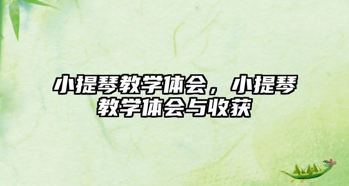 小提琴教學體會，小提琴教學體會與收獲