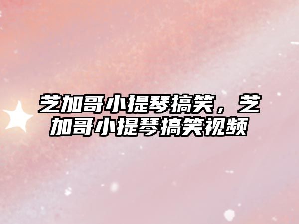 芝加哥小提琴搞笑，芝加哥小提琴搞笑視頻