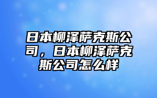 日本柳澤薩克斯公司，日本柳澤薩克斯公司怎么樣