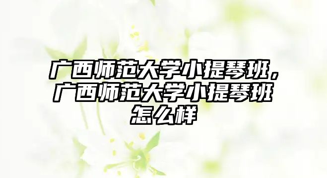 廣西師范大學小提琴班，廣西師范大學小提琴班怎么樣