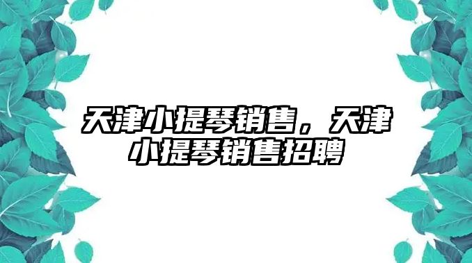 天津小提琴銷售，天津小提琴銷售招聘