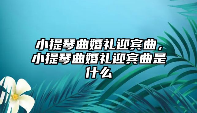 小提琴曲婚禮迎賓曲，小提琴曲婚禮迎賓曲是什么