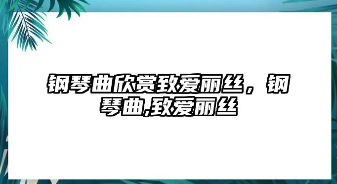 鋼琴曲欣賞致愛麗絲，鋼琴曲,致愛麗絲