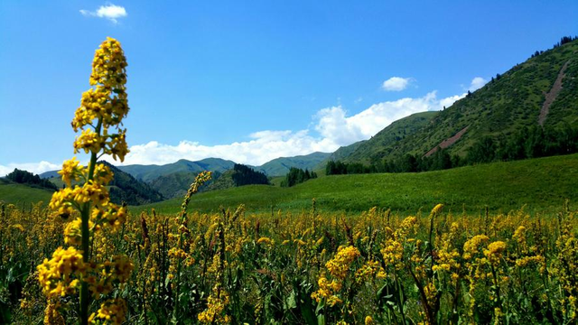 我國從哈薩克斯坦收回領土，面積超1100平方公里，每塊都價值不菲