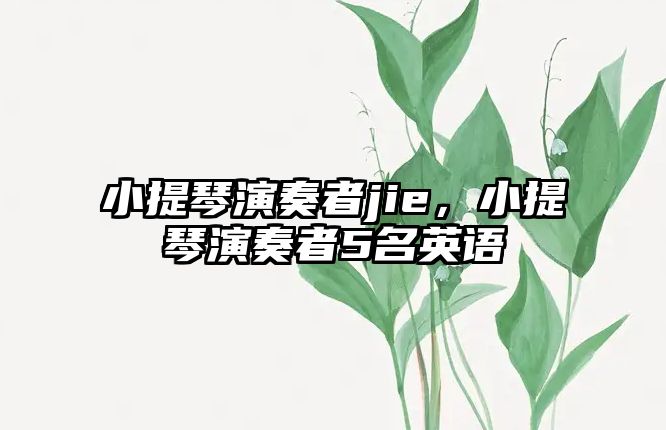 小提琴演奏者jie，小提琴演奏者5名英語