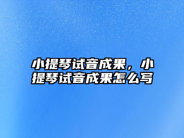 小提琴試音成果，小提琴試音成果怎么寫