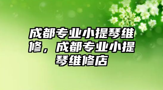 成都專業小提琴維修，成都專業小提琴維修店