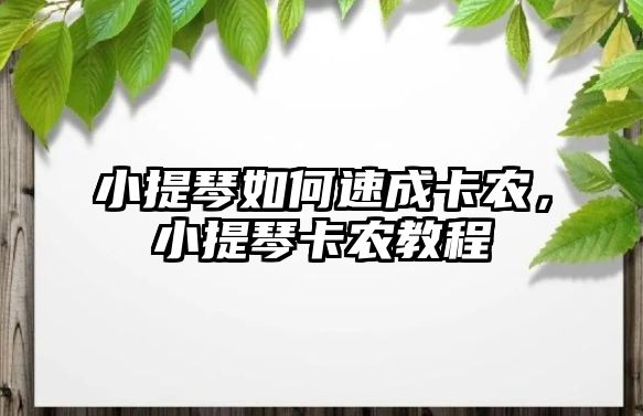 小提琴如何速成卡農，小提琴卡農教程