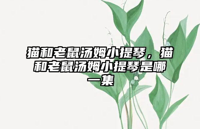 貓和老鼠湯姆小提琴，貓和老鼠湯姆小提琴是哪一集