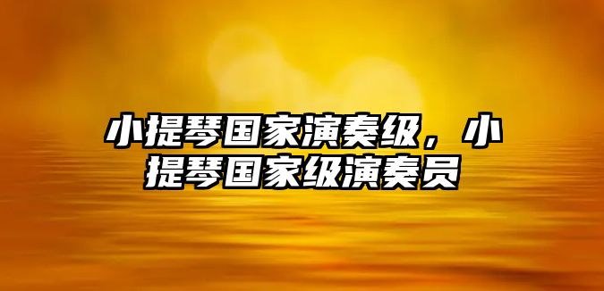 小提琴國家演奏級，小提琴國家級演奏員