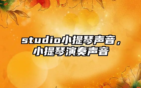 studio小提琴聲音，小提琴演奏聲音