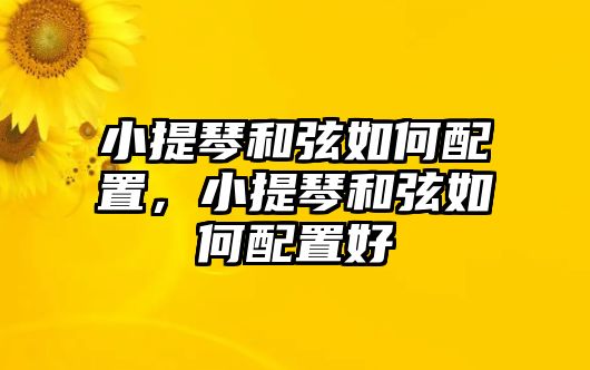 小提琴和弦如何配置，小提琴和弦如何配置好