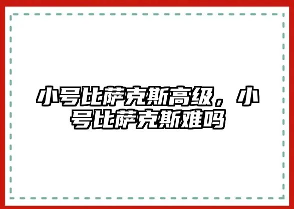 小號比薩克斯高級，小號比薩克斯難嗎