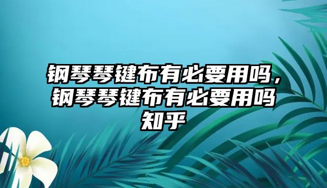 鋼琴琴鍵布有必要用嗎，鋼琴琴鍵布有必要用嗎知乎