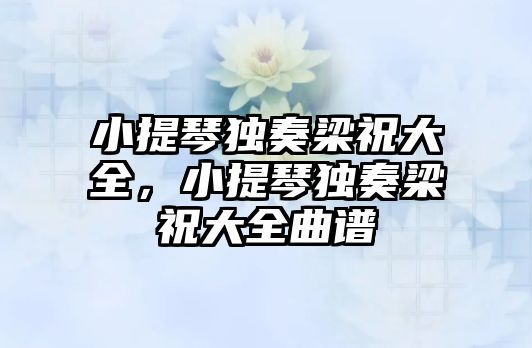 小提琴獨奏梁祝大全，小提琴獨奏梁祝大全曲譜