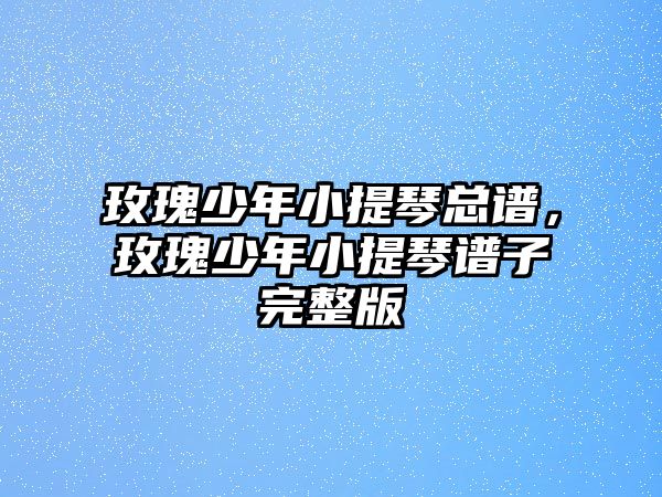 玫瑰少年小提琴總譜，玫瑰少年小提琴譜子完整版