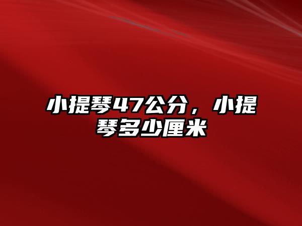 小提琴47公分，小提琴多少厘米