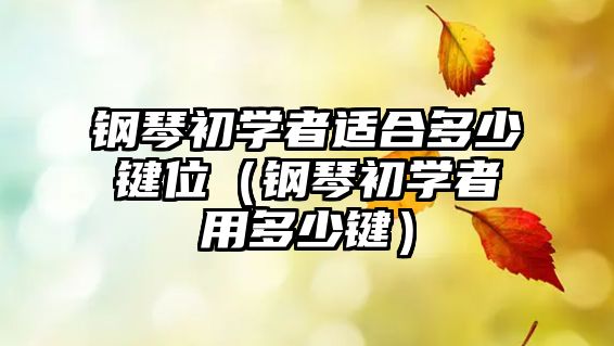 鋼琴初學者適合多少鍵位（鋼琴初學者用多少鍵）