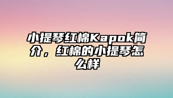 小提琴紅棉Kapok簡介，紅棉的小提琴怎么樣