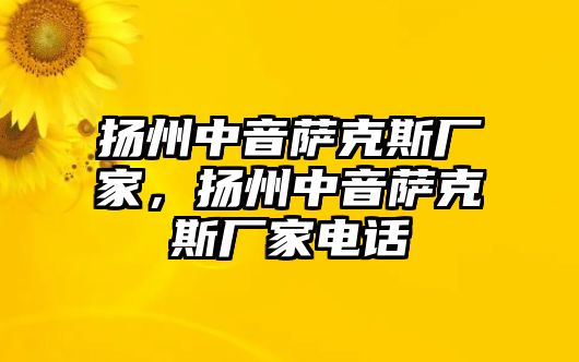 揚(yáng)州中音薩克斯廠家，揚(yáng)州中音薩克斯廠家電話