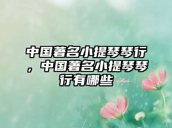 中國著名小提琴琴行，中國著名小提琴琴行有哪些