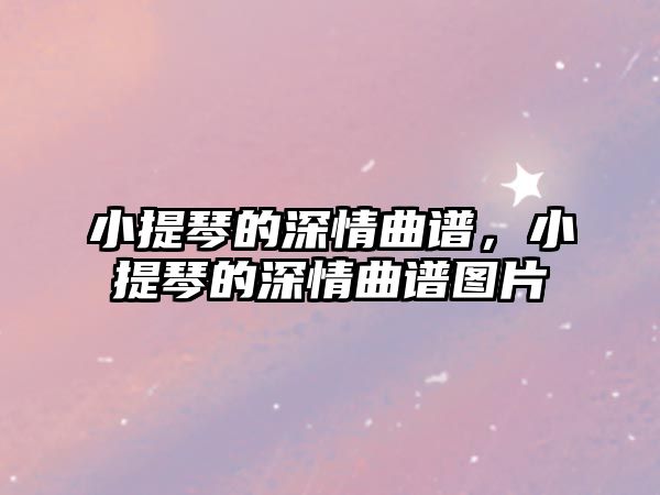 小提琴的深情曲譜，小提琴的深情曲譜圖片