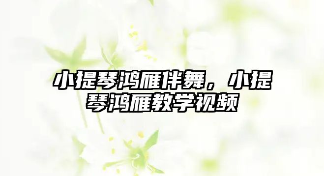 小提琴鴻雁伴舞，小提琴鴻雁教學視頻