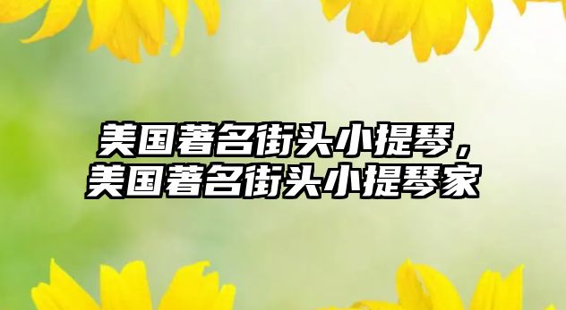 美國著名街頭小提琴，美國著名街頭小提琴家