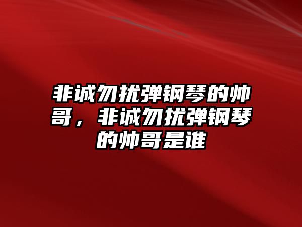 非誠勿擾彈鋼琴的帥哥，非誠勿擾彈鋼琴的帥哥是誰