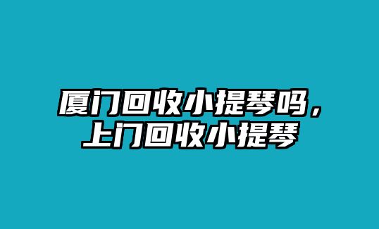 廈門回收小提琴嗎，上門回收小提琴