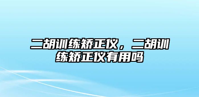 二胡訓(xùn)練矯正儀，二胡訓(xùn)練矯正儀有用嗎