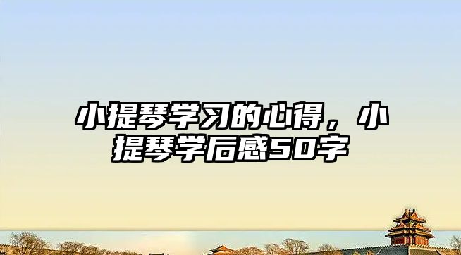 小提琴學習的心得，小提琴學后感50字