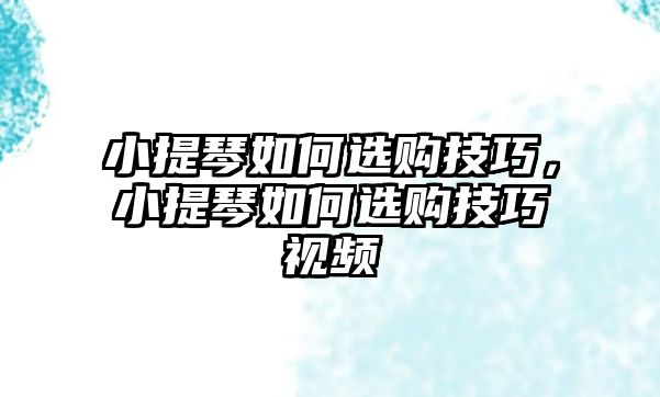 小提琴如何選購技巧，小提琴如何選購技巧視頻