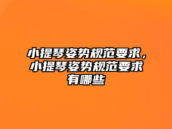 小提琴姿勢規范要求，小提琴姿勢規范要求有哪些