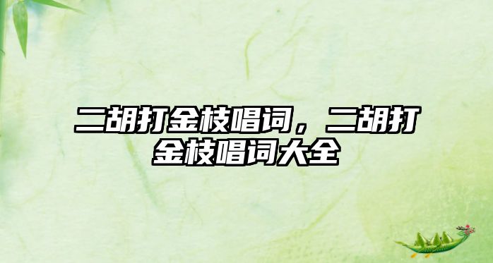 二胡打金枝唱詞，二胡打金枝唱詞大全