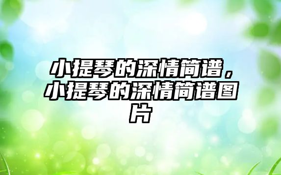 小提琴的深情簡譜，小提琴的深情簡譜圖片