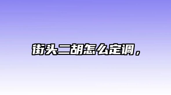 街頭二胡怎么定調，