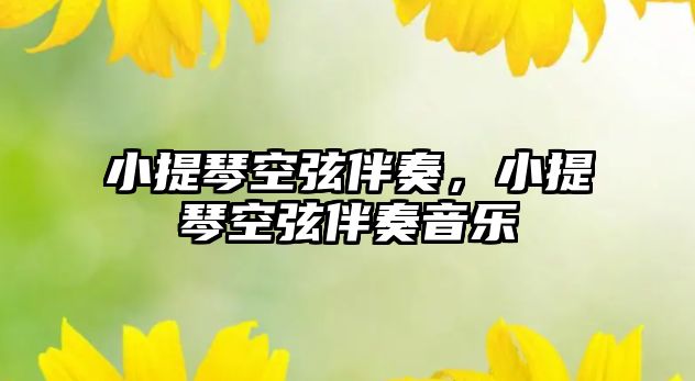 小提琴空弦伴奏，小提琴空弦伴奏音樂