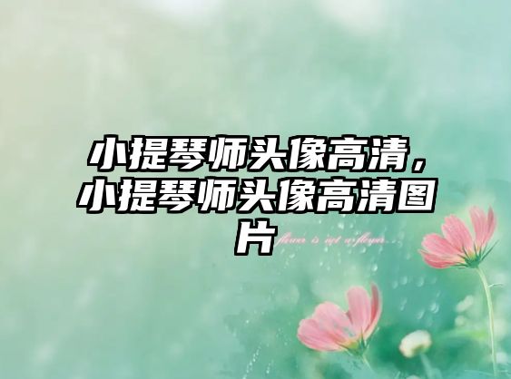 小提琴師頭像高清，小提琴師頭像高清圖片