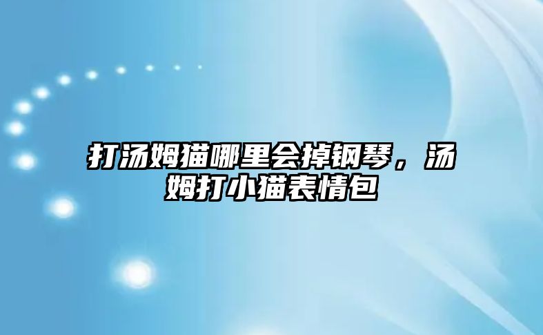 打湯姆貓哪里會掉鋼琴，湯姆打小貓表情包