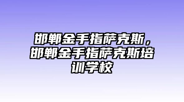 邯鄲金手指薩克斯，邯鄲金手指薩克斯培訓學校