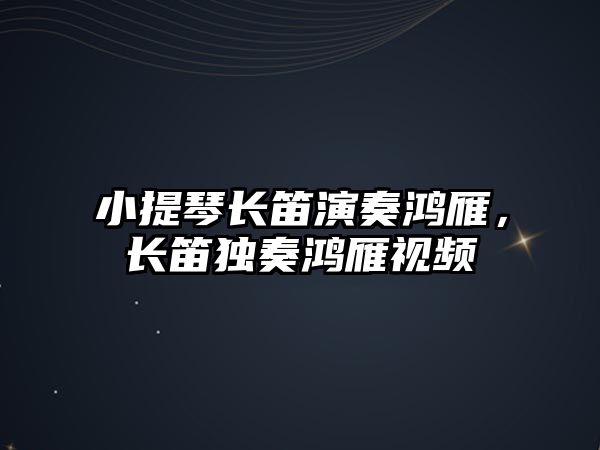 小提琴長笛演奏鴻雁，長笛獨奏鴻雁視頻