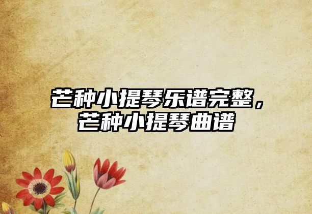 芒種小提琴樂譜完整，芒種小提琴曲譜