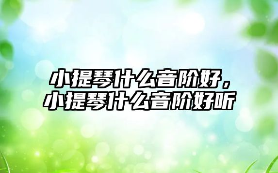 小提琴什么音階好，小提琴什么音階好聽