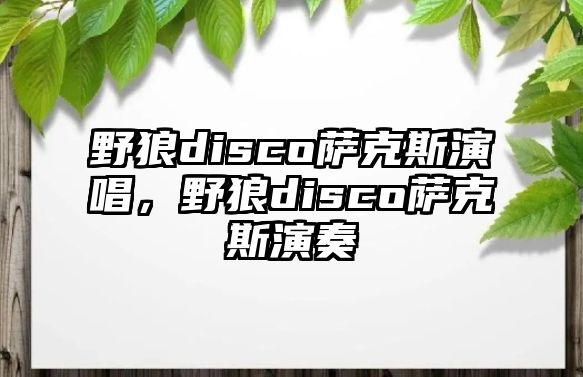 野狼disco薩克斯演唱，野狼disco薩克斯演奏