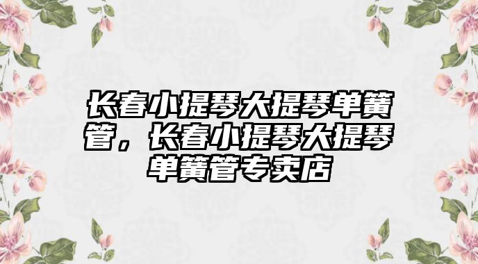 長春小提琴大提琴單簧管，長春小提琴大提琴單簧管專賣店