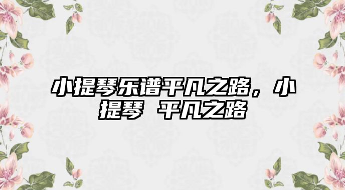 小提琴樂(lè)譜平凡之路，小提琴 平凡之路